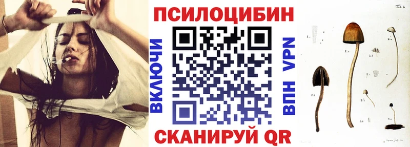 как найти закладки  Староминская  Псилоцибиновые грибы мухоморы 